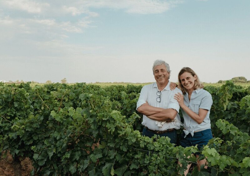 Two people standing in a vineyard with rows of grapevines. 1