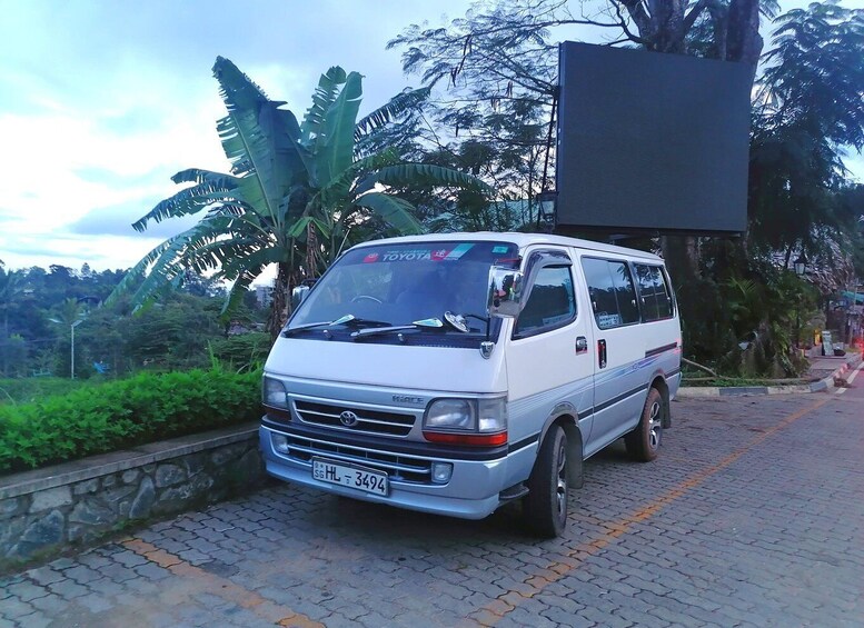 A white van parked on a cobblestone street with a license plate SG HL 3494, surrounded by lush greenery and palm trees. 5