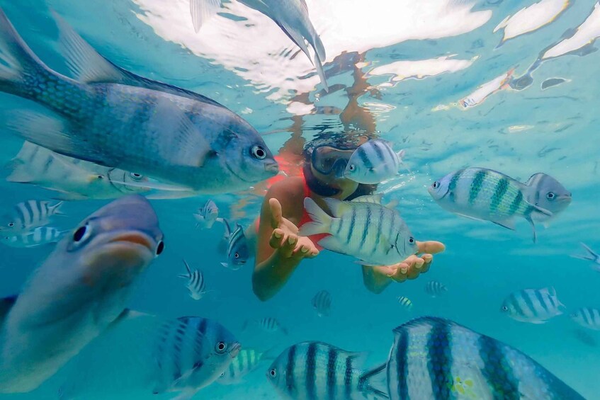 A person swimming with fish in clear blue water. 1