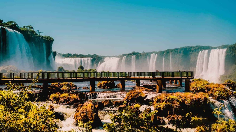 Iguazu Falls: Aquafoz + Macuco Safari 1