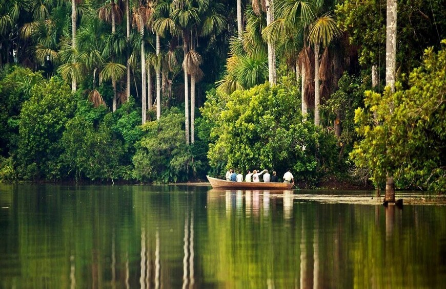 A calm river with a boat carrying people, surrounded by dense tropical vegetation. 3