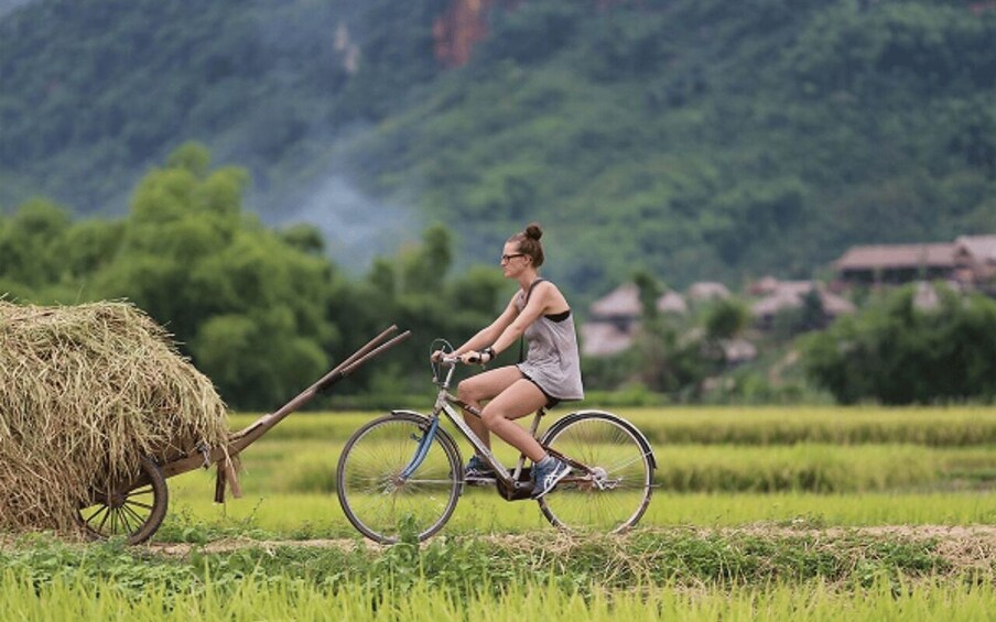A person riding a bicycle in a field with a hay cart. 2