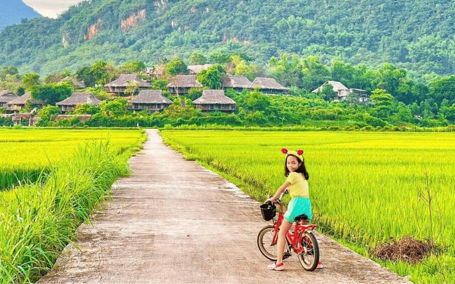 A rural landscape with a pathway, green fields, and traditional houses. 5