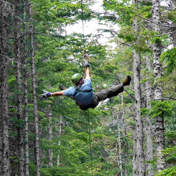 A person zip-lining through a forest. 3