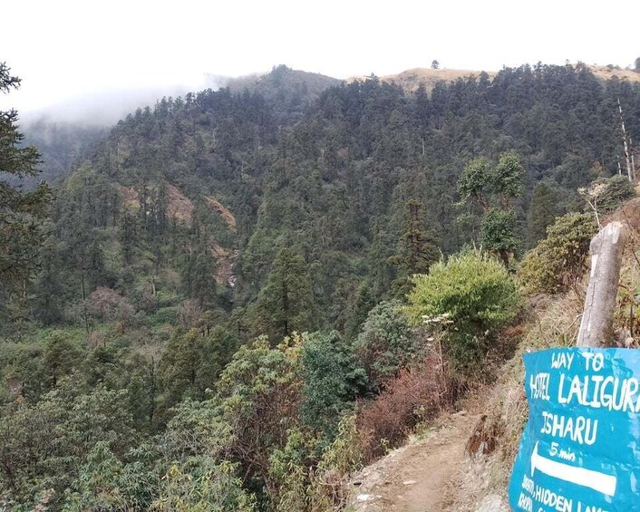 A trail sign in a forested area with a path leading uphill. 3