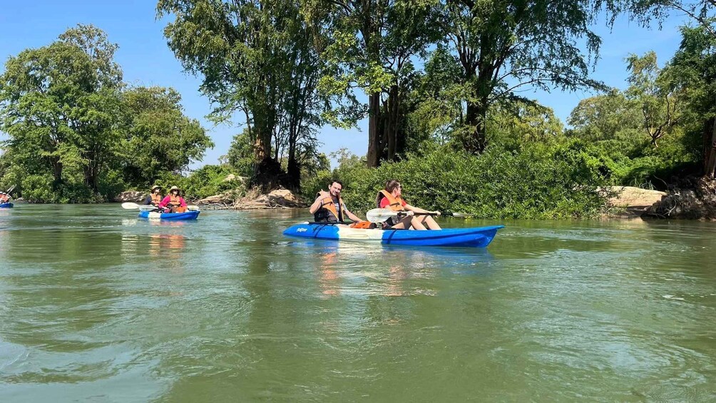 People kayaking on a river surrounded by trees. 2