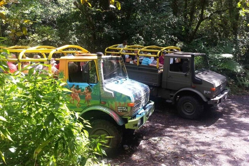 A green and yellow bus with passengers, parked on a dirt path surrounded by dense greenery. 1
