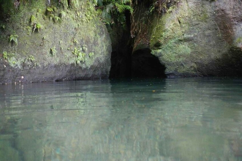 A natural cave entrance with water at the bottom. 2