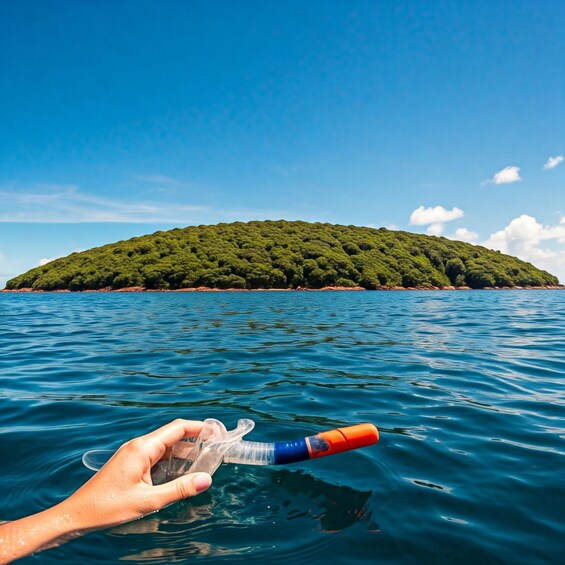 A hand holding a snorkel and mask over water with a green island in the background. 1