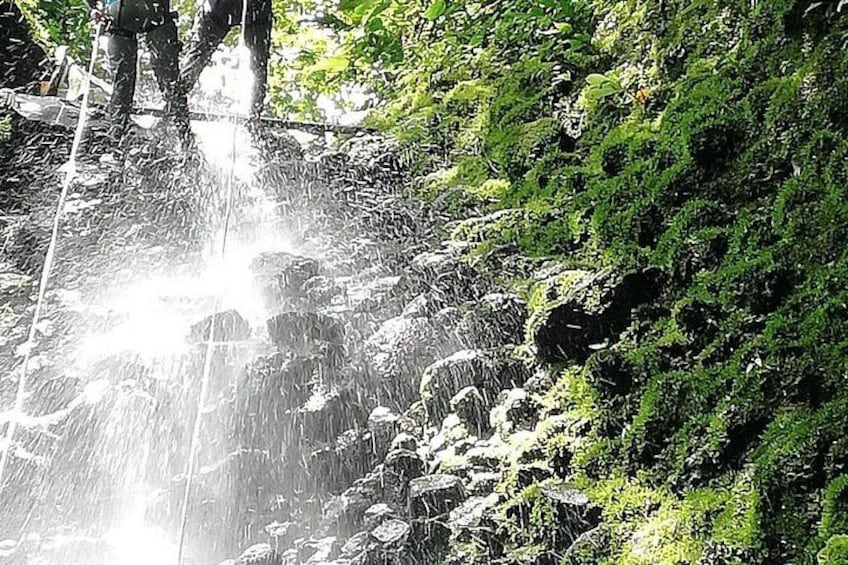 A waterfall with water cascading over rocks, surrounded by lush greenery. 4