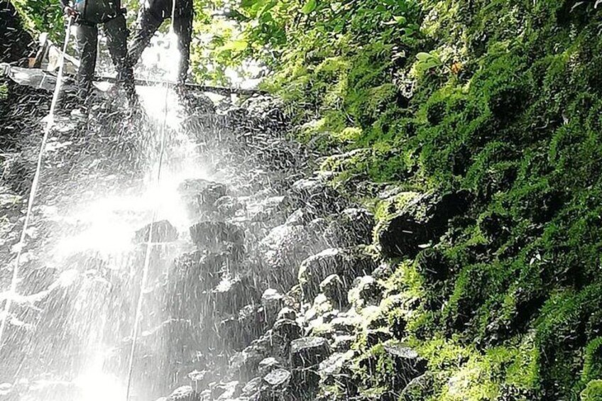 A waterfall with water cascading over rocks, surrounded by lush greenery. 4