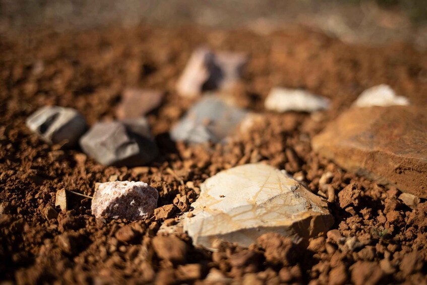A close-up of a rock with a leaf partially covering it, surrounded by other rocks and soil. 4