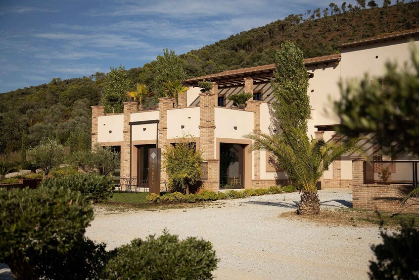 A modern house with a gravel driveway, surrounded by greenery and a hillside. 3