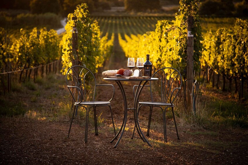 A vineyard with rows of grapevines, a table with chairs, a bottle of wine, glasses, and a loaf of bread. 1