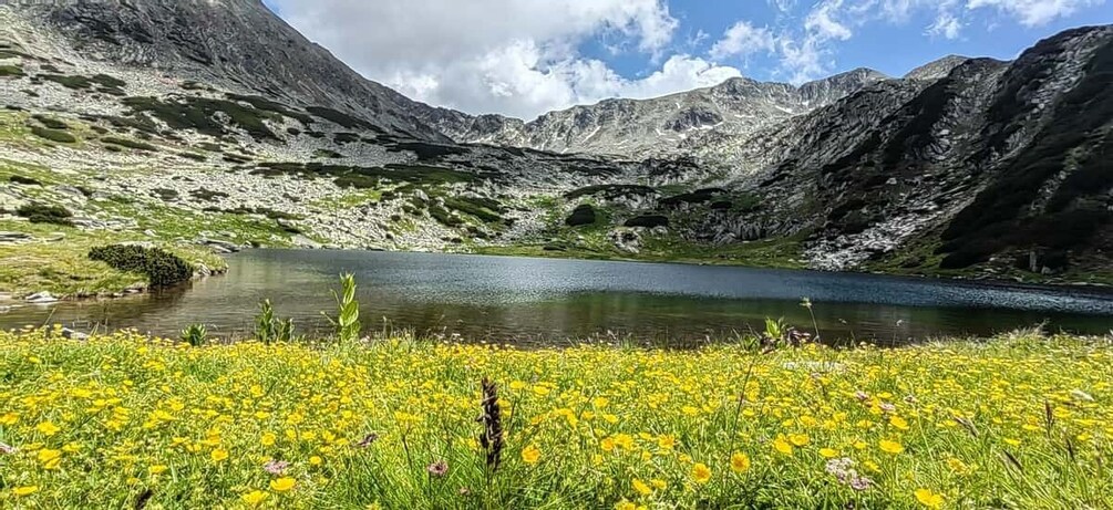A mountain lake surrounded by wildflowers and rugged terrain. 5