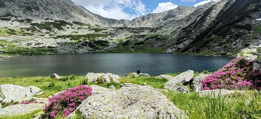 A mountain lake with rocky shores and pink flowers. 3