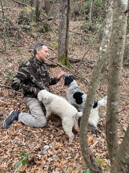 A person in camouflage sitting on the forest floor with two dogs. 1