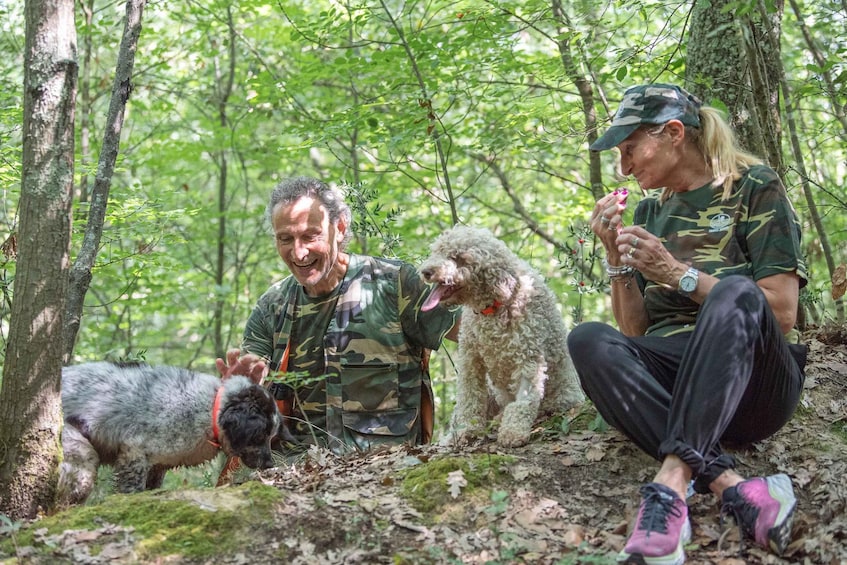 Three people in a forest with dogs. 1