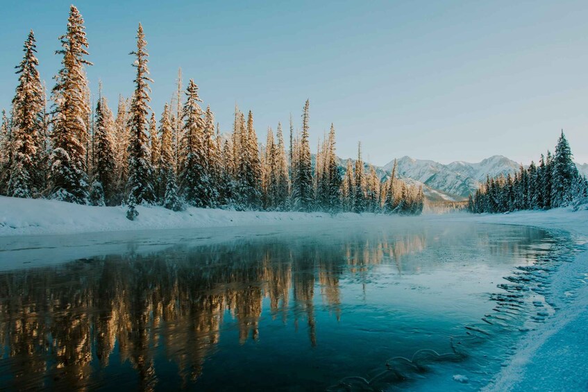A frozen river with snow-covered trees and mountains in the background. 5