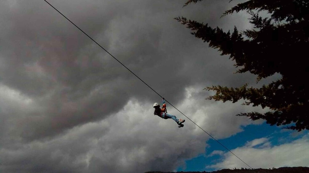 A person bungee jumping with a cloudy sky and tree branches in the foreground. 5