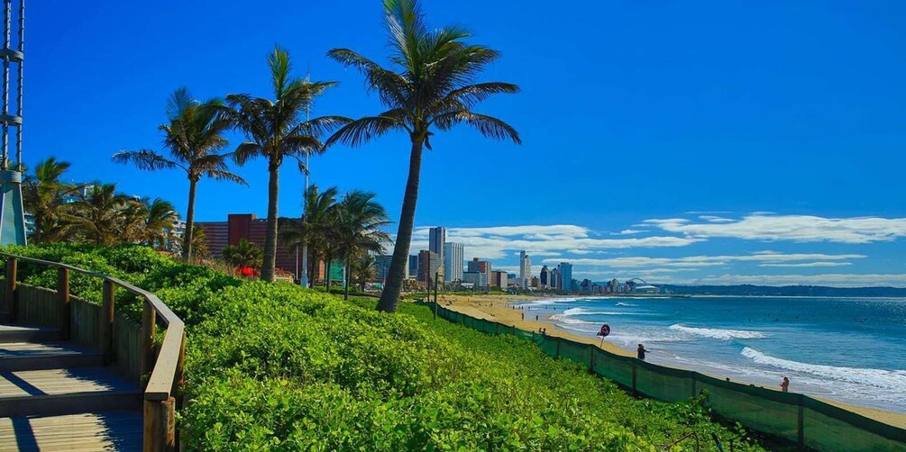 A coastal cityscape with palm trees, a beach, and a boardwalk. 3