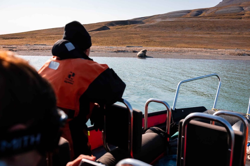 A person in an orange vest on a boat, looking at a seal on the shore. 1