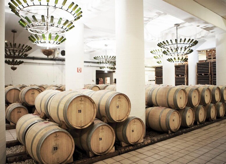 A wine cellar with wooden barrels and hanging wine bottle chandeliers. 4