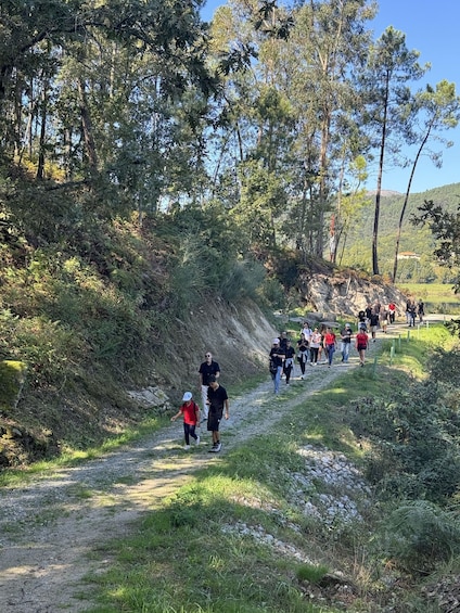 A group of people walking on a dirt path surrounded by trees and greenery. 1