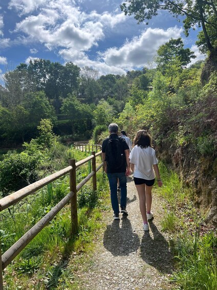 A gravel path with a wooden railing, surrounded by lush greenery and trees. 3