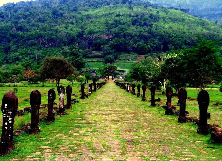 A pathway lined with headstones leading up a hill. 5