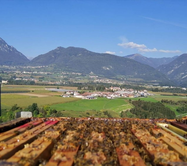 A mountainous landscape with a village in the valley. 1