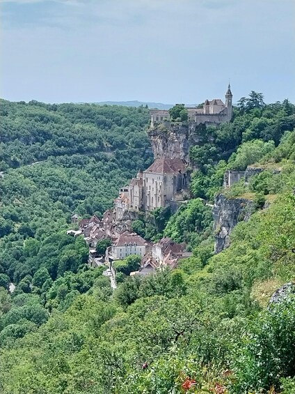 A castle perched on a cliff, surrounded by dense forest and a small village below. 2
