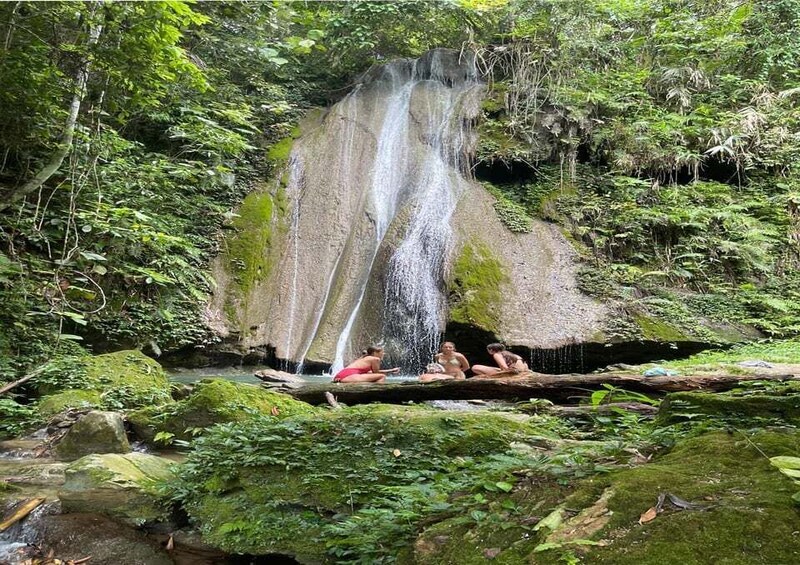 A waterfall in a forested area with moss-covered rocks and a small stream. 5