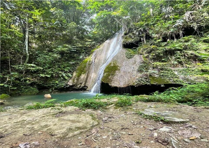A waterfall in a forested area with clear water and surrounding greenery. 4