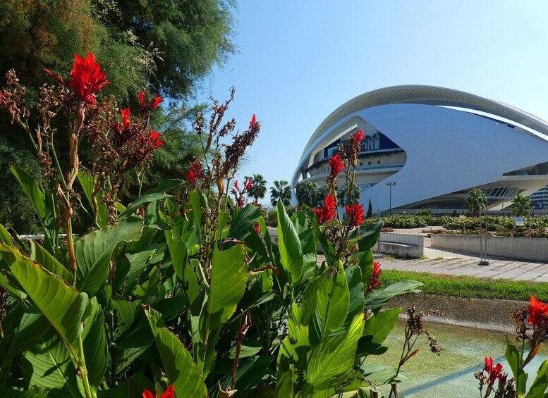 A modern building with a curved roof and a garden with red flowers and green foliage. 1