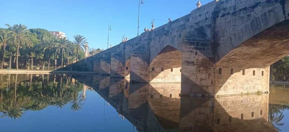 A stone bridge over water with palm trees and a clear sky. 3
