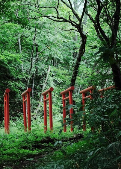 Picture 8 for Activity Tokyo: Togakushi Sacred Trail Day Tour with Shinkansen 5