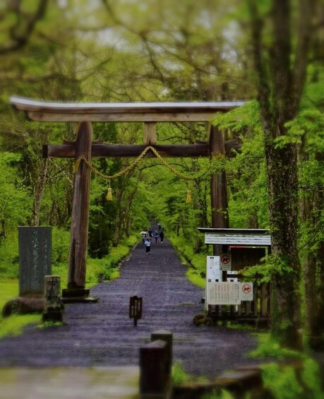 Picture 4 for Activity Tokyo: Togakushi Sacred Trail Day Tour with Shinkansen 2