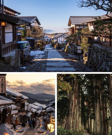 Picture 3 for Activity Tokyo: Togakushi Sacred Trail Day Tour with Shinkansen 3