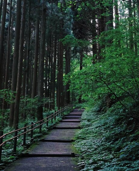 Tokyo: Togakushi Sacred Trail Day Tour with Shinkansen 1