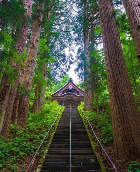 A staircase leading to a traditional building surrounded by tall trees. 5