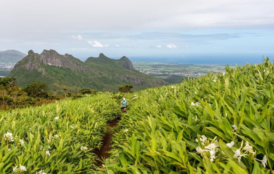 A hiker walking through a lush green field with mountains in the background. 2