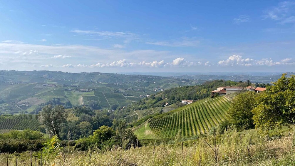 Rolling hills, vineyards, and scattered buildings in a rural landscape. 3