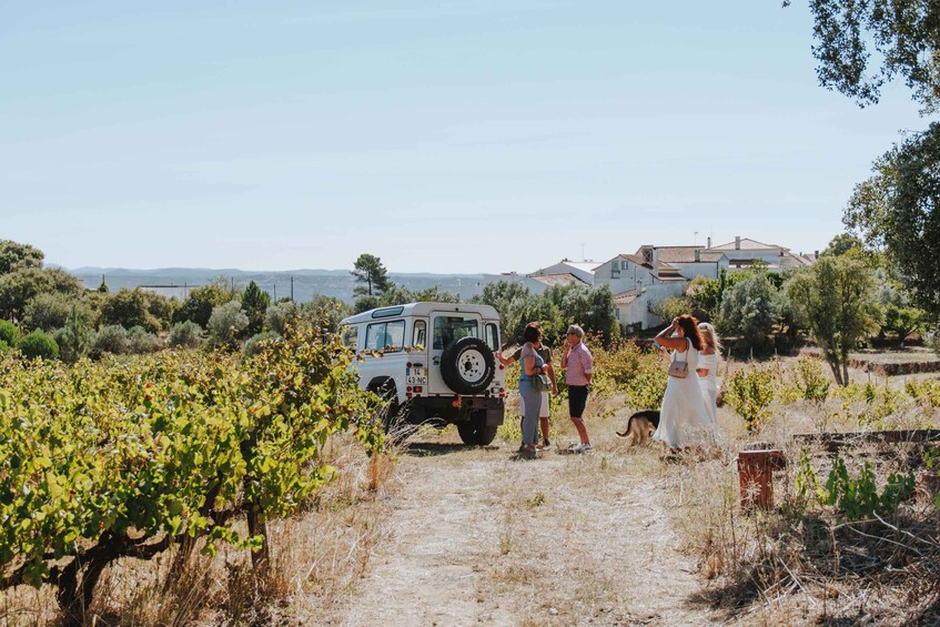 A vineyard path, a white vehicle, and a building in the background. 5