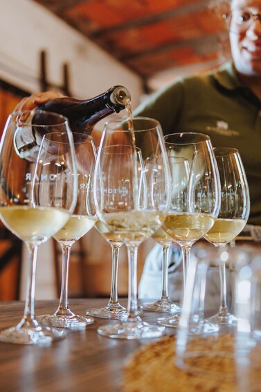 A person pouring white wine into several glasses. 3