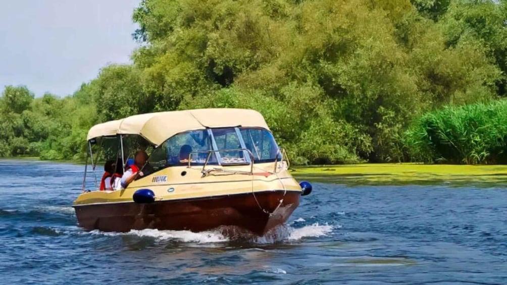 Picture 1 for Activity Sulina: Danube Delta Boat Tour with Wildlife Spotting 1