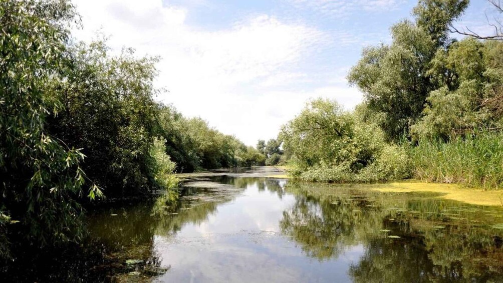 Picture 3 for Activity Sulina: Danube Delta Boat Tour with Wildlife Spotting 3