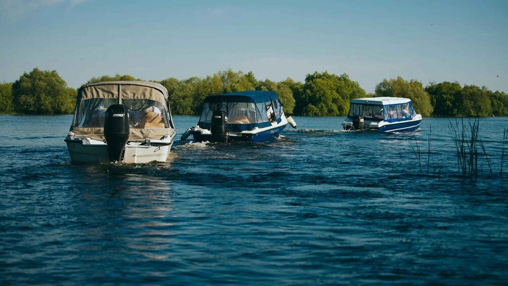 Sulina: Danube Delta Boat Tour with Wildlife Spotting 2
