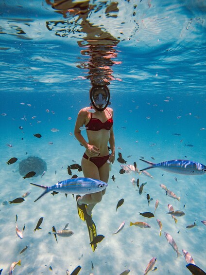 A person snorkeling underwater surrounded by various fish. 5