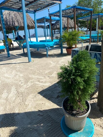 A beach with blue umbrellas, a thatched-roof structure, and a potted plant. 3